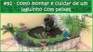 Como cuidar de uma fonte ornamental com peixes