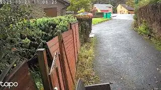 A bird spotted the security camera 