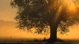 Medieval Music (European) - Under an old tree