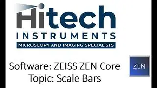 ZEISS ZEN Core | How to Format Scale Bars
