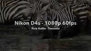 Nikon D4s video 1080p 60fps demo