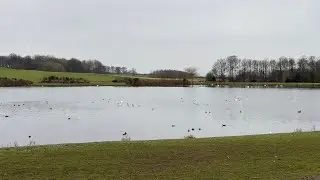 Hardwick park#parks#bestplacestovisit#middlesbrough#uk#bestplace