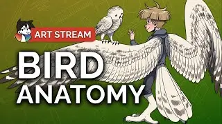 🔴 Drawing BIRD Anatomy + Hybrid Character Design