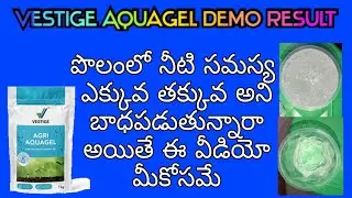 Vestige aquagel Demo in Telugu