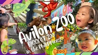 Feeding Animals | AVILON ZOO LARGEST ZOOlogical Institution | Aki and Ashi Travels