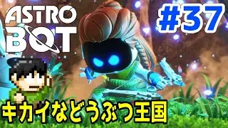 [Live commentary] PS All-Stars!? GOTY2024 Astro Bot Commentary Part 37 [Kingdom of Mechanical Ani...