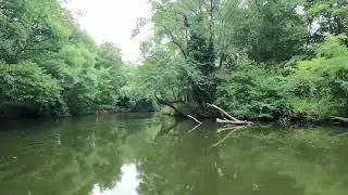 Bulgaria - Ropotamo river cruise / Rejs rzeką Ropotamo w Bułgarii