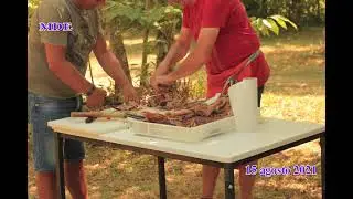 Ferragosto al bosco    Cordero al palo   Andretta 18 agosto 2021