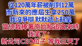 從120萬年薪被削到12萬，而新來的應屆生拿250萬。我沒爭辯，默默遞上辭呈。當總裁捧著原始股追出來時，我笑了：新公司CEO位子，等我三天了#為人處世#生活經驗#情感故事#职场