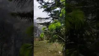 Hampta Pass Trek #shorts #instagram #music #manali