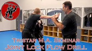Упражнение &laquo;Joint Lock Flow&raquo; на семинаре Tristar