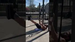 Dragon Flag On Rings