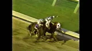 1988 Garden State Park - Dynaformer & Craig Perret - Jersey Derby