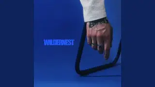 WILDERNEST
