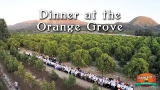 Dinner at the Orange Grove, June 2017 | Totally Local VC