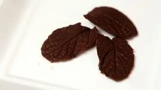 How to Make Chocolate Leaves | Candy Making