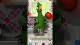 talking Pierre #kartoon #funnyshorts #funnyvideo #catsoftiktok #animals #catshorts #mytalkingtom