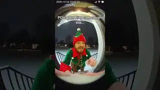 POV: your Ring cam caught this... #christmas #elf #fyp #ringcam #holiday