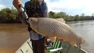 COTA ZERO PESCA TV ALEMS