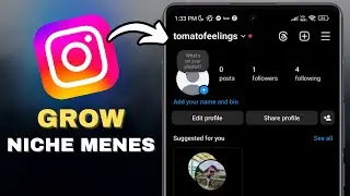 How to Grow with Niche Memes on Instagram Reels in SECONDS!