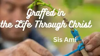 ||Graffed in the life Through Christ ||