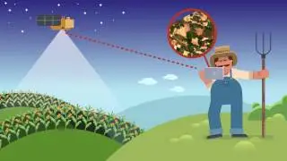 geo|cledian - Satellite Images for Farm Management Systems