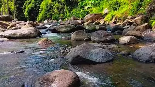 Rapid Clear Water Flowing Through Narrow Rocky Stream for Sharp Focus and Natural Drive