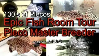 Эпическая экскурсия по рыбному залу от главного заводчика Pleco Лукаса из Швеции! Столько редких Pleco в одном видео!!!