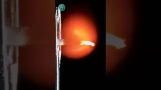 Smooth burning of thread in macro  #macro #asmr #burning