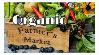 *Nairobi Farmers Market Trip With My LDR Boyfriend* Organic Farming kenya* Farm To Table Nairobi *
