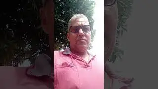 parte 2 final