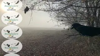 Alabama Crow Hunting - Nov 2020