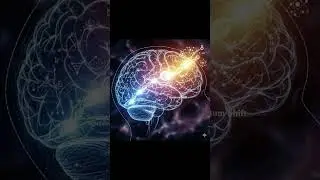 L'art d'&ecirc;tre pr&eacute;sent   la cl&eacute; quantique pour une vie authentique et consciente
