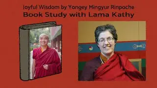 Joyful Wisdom 25  - Book Study with Lama Kathy Wesley