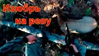 Охота на изюбря на реву 2015. GoPro Hero 4