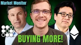 Buying The Dip On These Undervalued Stocks | Market Monitor