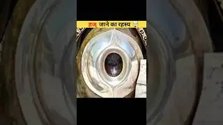 मुस्लिम लोग हज क्यों जाते है? #shorts #ytshorts