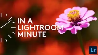 How to Turn on Technology Previews in Lightroom Mobile | In A Lightroom Minute | Adobe Lightroom
