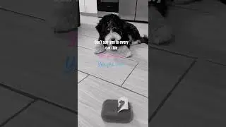 This is how Benjis feels&hellip;