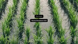 Naviar Broadcast #375 - Rain rituals