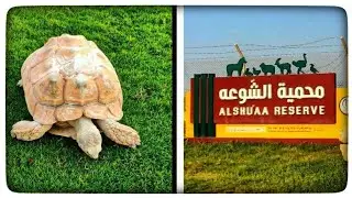 AL SHUAA RESERVE- QATAR/Must Visit park in Qatar
