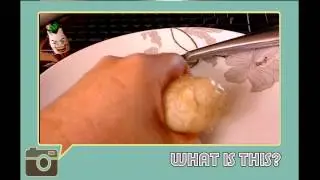 Friday Fun: what is this?