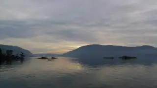 Vesuvius  Ducks