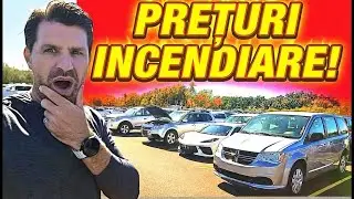 Ce se întâmplă cu adevărat la licitațiile auto – n-o să-ți vină să crezi