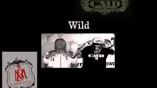 DEBROUYA FEAT BLADE & MISS ANDY -WILD