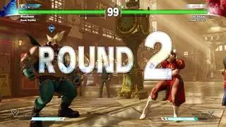 Neobear SF5 Birdie part 2