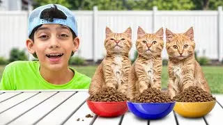 Jason shows how to take care of cats