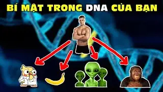 Những Sự Thật Th&uacute; Vị Về Bộ Gen ADN