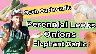 How to Easily Tell Apart Perpetual Leeks, Onions, and Elephant Garlic