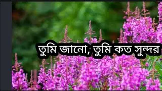 সাজাও নিজেকে